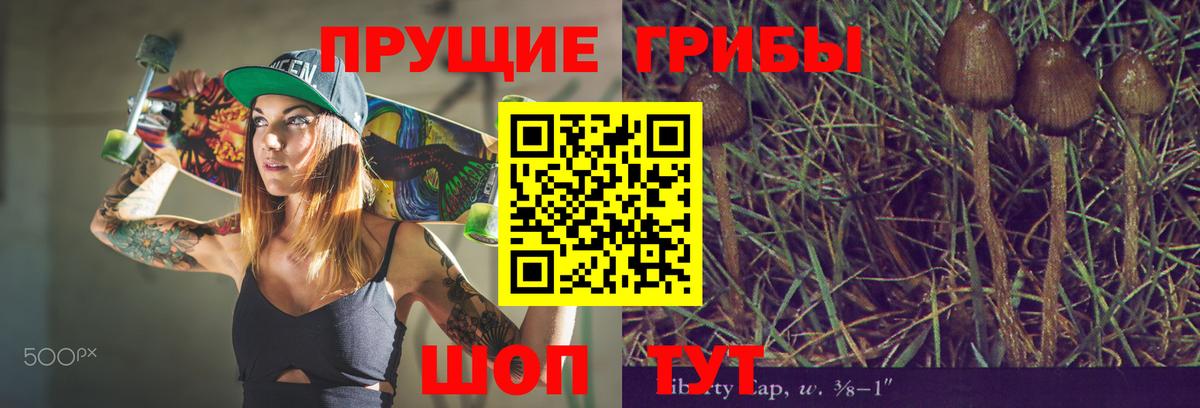 Галлюциногенные грибы MAGIC MUSHROOMS Вышний Волочёк