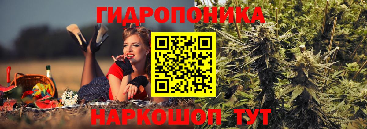 МАРИХУАНА гибрид Вышний Волочёк